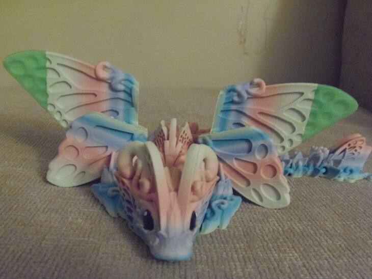 babybutterfly